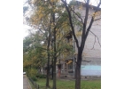 Сдается уютная комната.